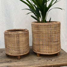 Load image into Gallery viewer, Webbing Planter Small
